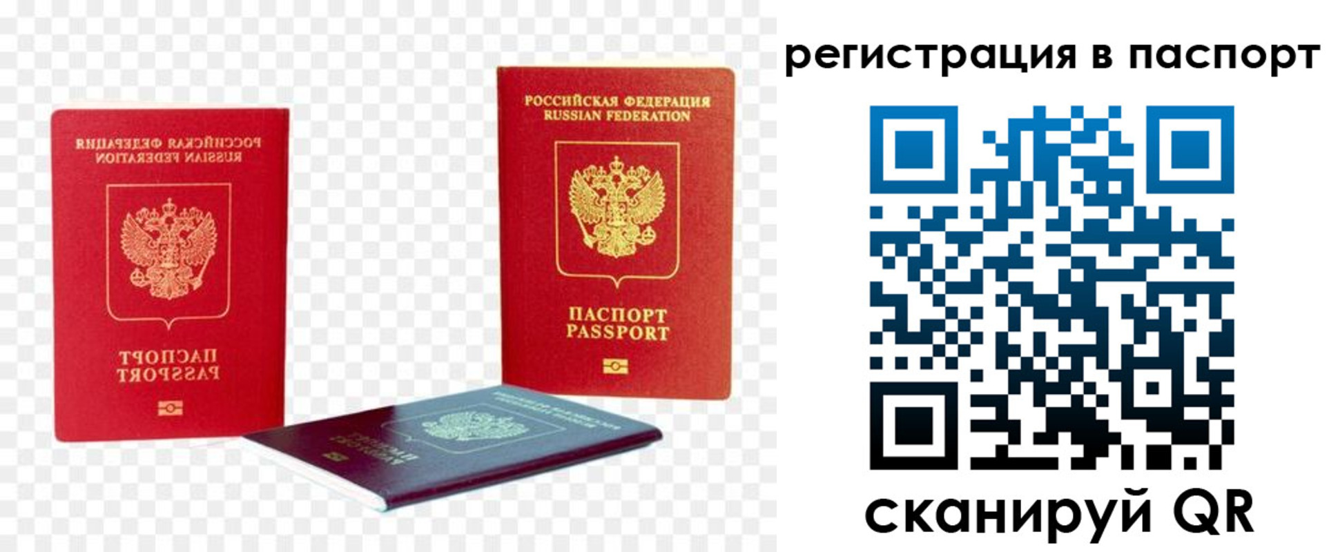 временная регистрация поиск в Новозыбкове